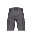 DASSY / WERKSHORT ZION PESCO38