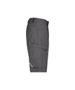 DASSY / WERKSHORT ZION PESCO38