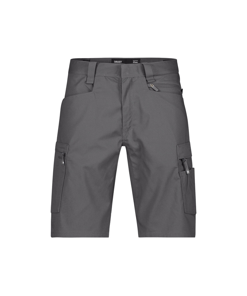 DASSY / WERKSHORT ZION PESCO38