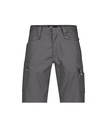 DASSY / WERKSHORT ZION PESCO38