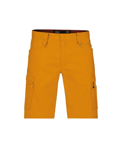 DASSY VIVID ZION Werkshort PESCO38